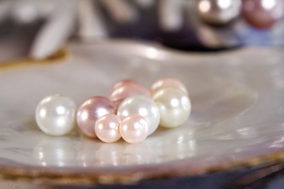 A group of pearls in various colors on a shell