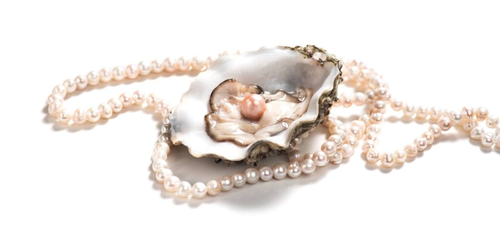 A pearl necklace with a pearl in an oyster