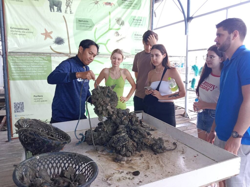 A tour guide showing how pearls are extracted