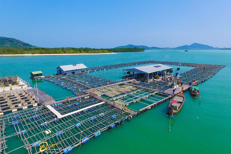 Pearl tour in Thailand with Amorn Phuket Pearl