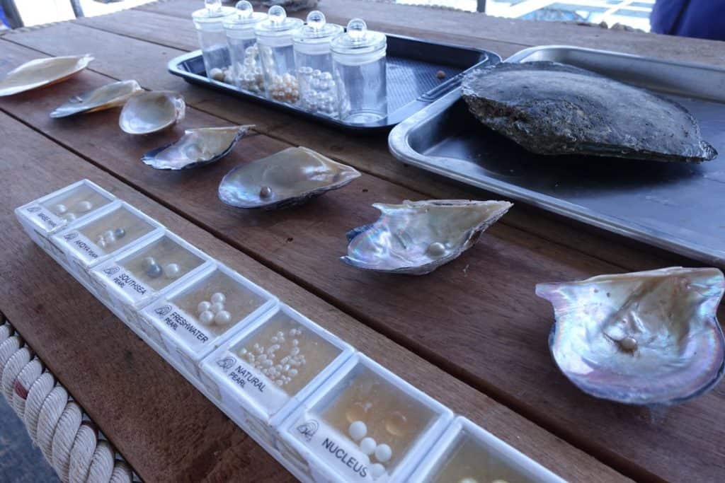 A pearl display at a pearl farm in Phuket. Amorn Phuket Pearl is where you can visit one.