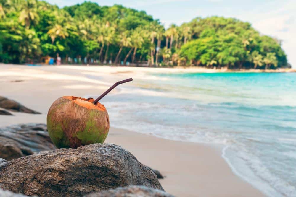 Sipping a fresh coconut by the shore on a quiet day at Coconut Island, Phuket