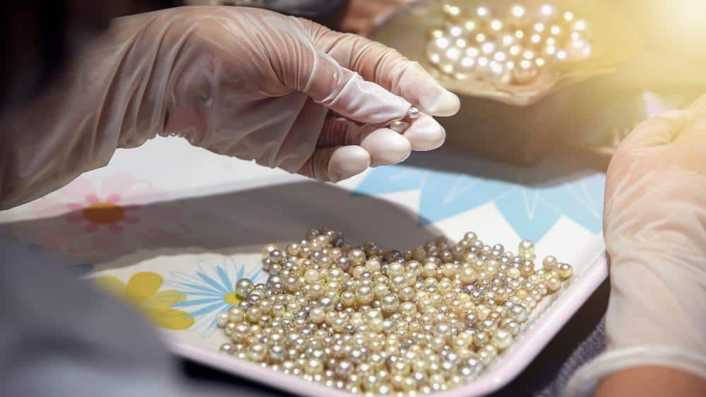 Pearls that were cultivated at a pearl farm. Image